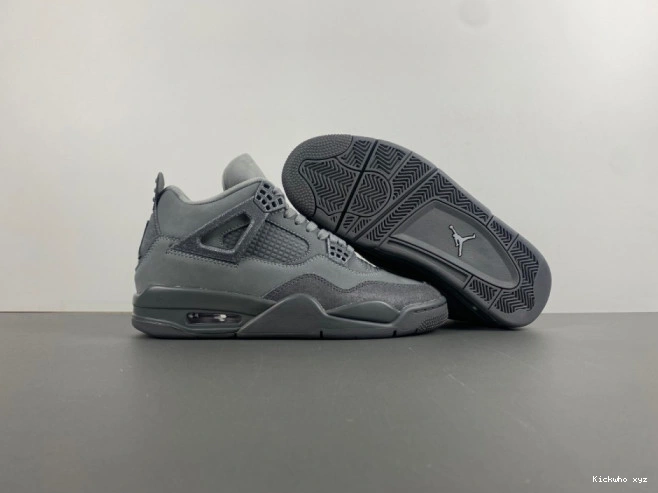 Air Olympics Paris Jordan SE 4 0711